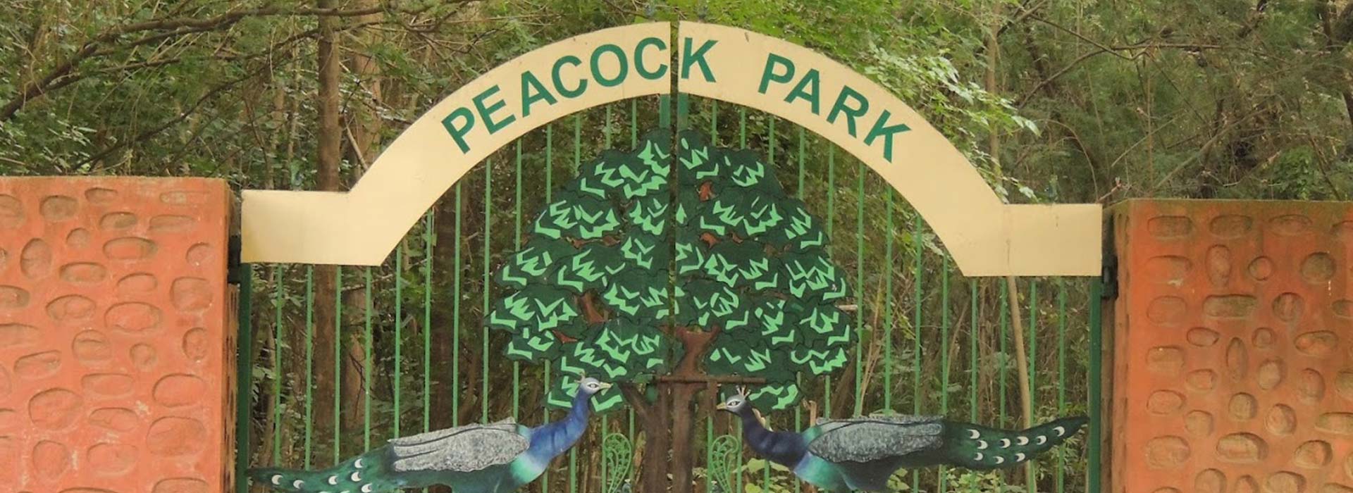  Peacock Park