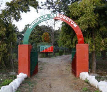 Shivalik-Arboretum-ADD-Green-Chandigarh-ogd66uaz1fjyl23pod14c9izhi4mxla1fojcbjzak8